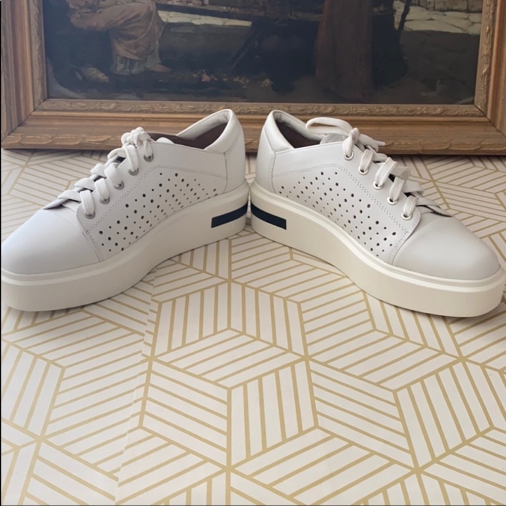 Linea Paola platform sneaker